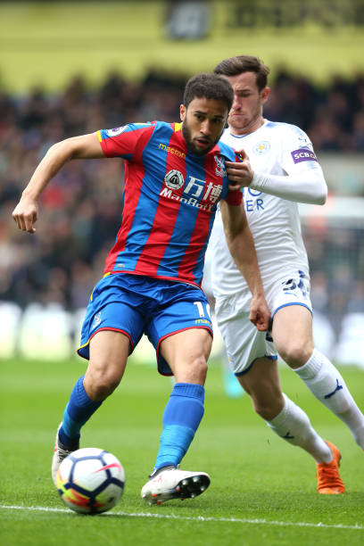 的角逐中 的角逐中