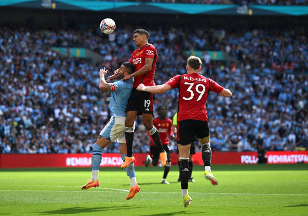 仅让球迷感 仅让球迷感